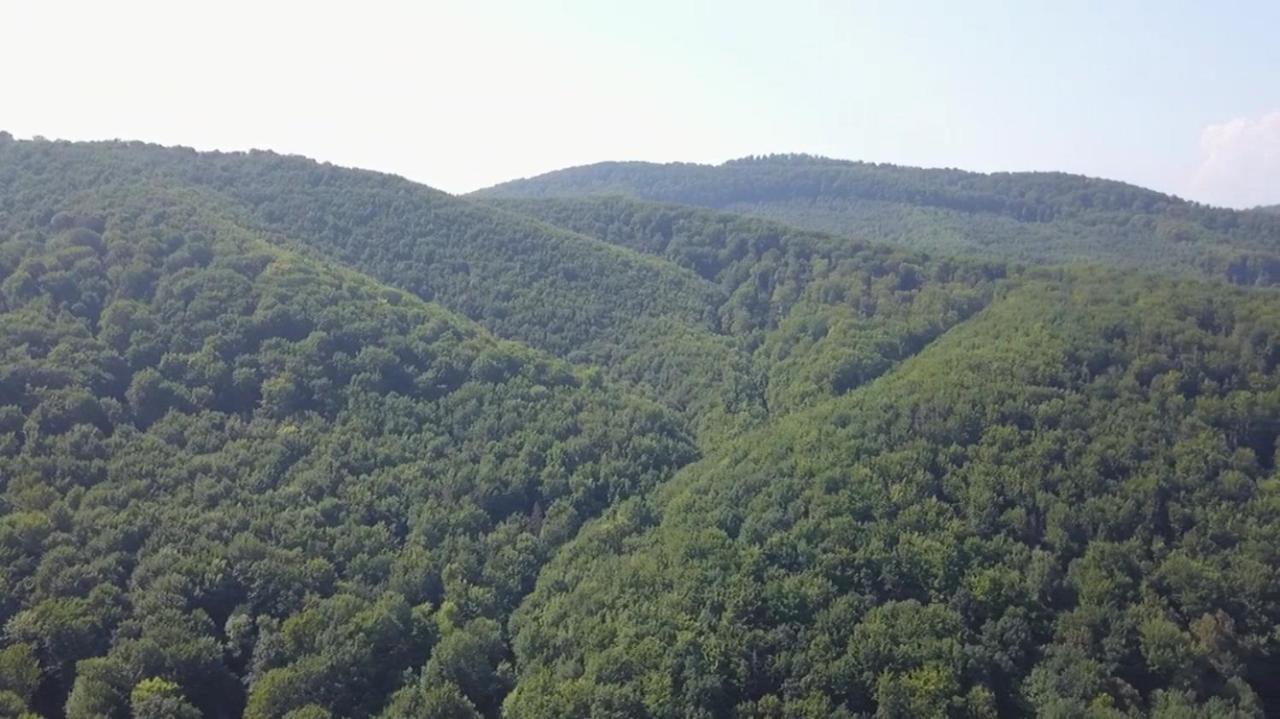 Villa Med'Ok Vyzjnytsja Buitenkant foto